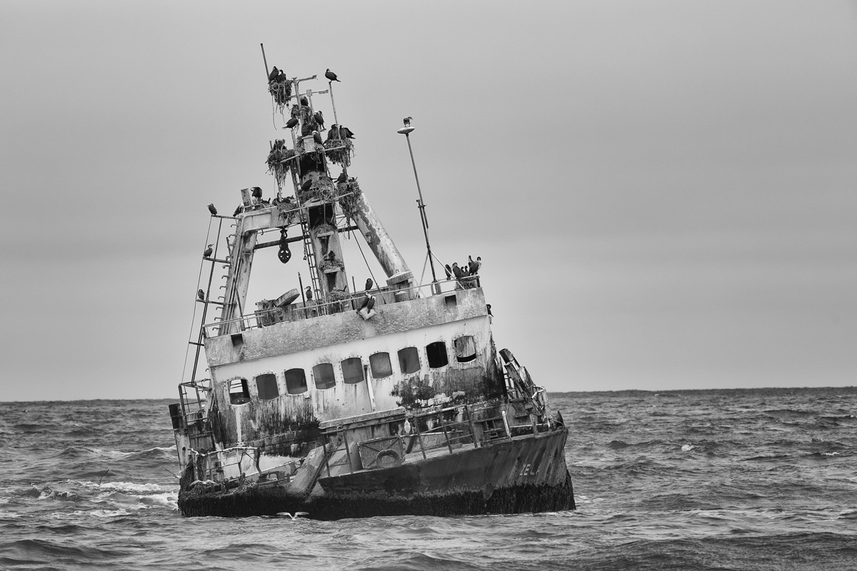 Stacks Image 1019
