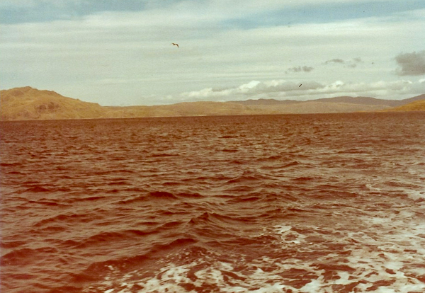 Stacks Image 1563