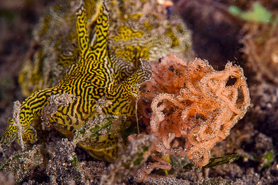 Stacks Image 957