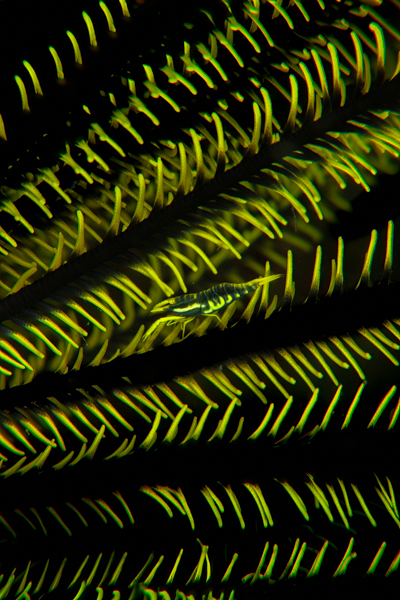 Stacks Image 3688