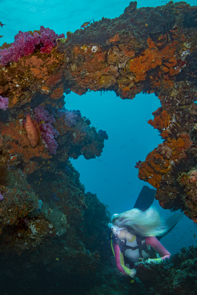 Stacks Image 1586