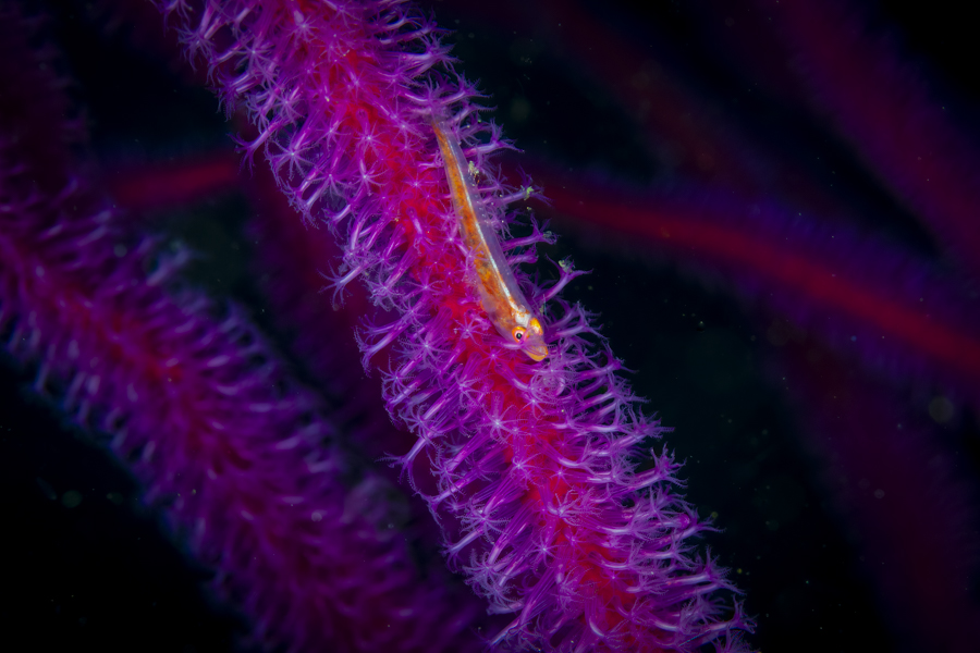 Stacks Image 1422