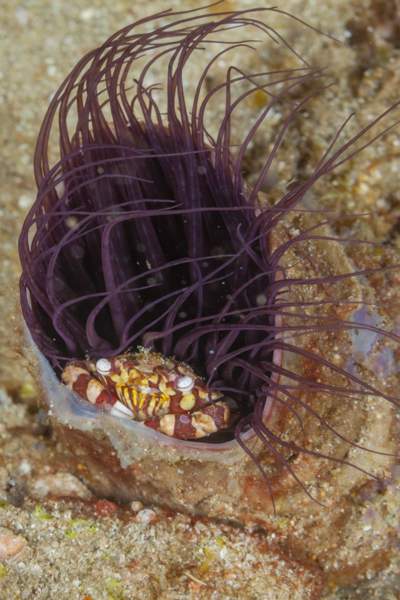 Stacks Image 1136