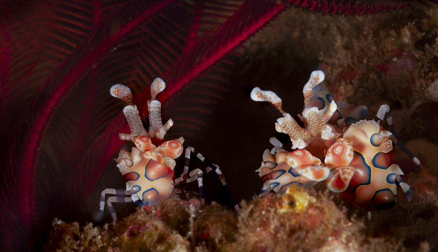 Stacks Image 1278