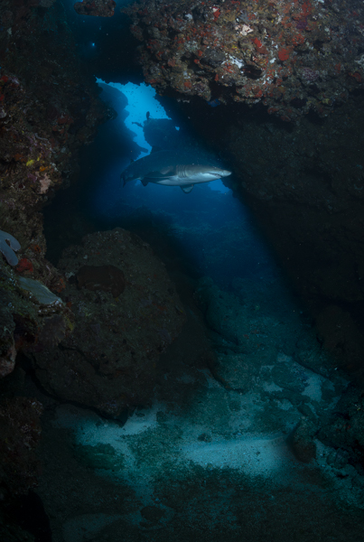 Stacks Image 1395