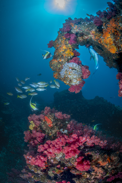 Stacks Image 1102