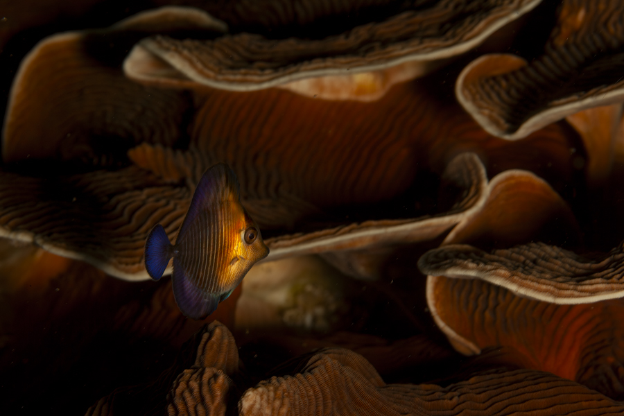 Stacks Image 1484