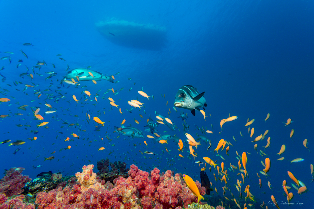 Seven Mile Sodwana Bay