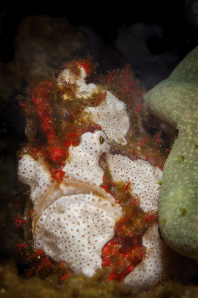 Stacks Image 1588
