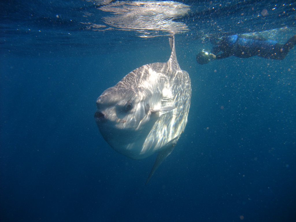 Stacks Image 996