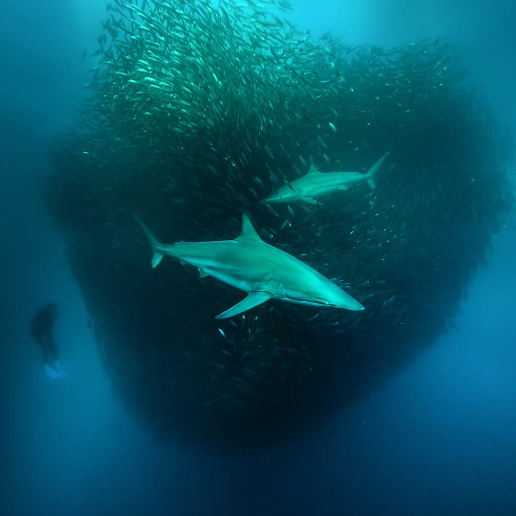 Stacks Image 797