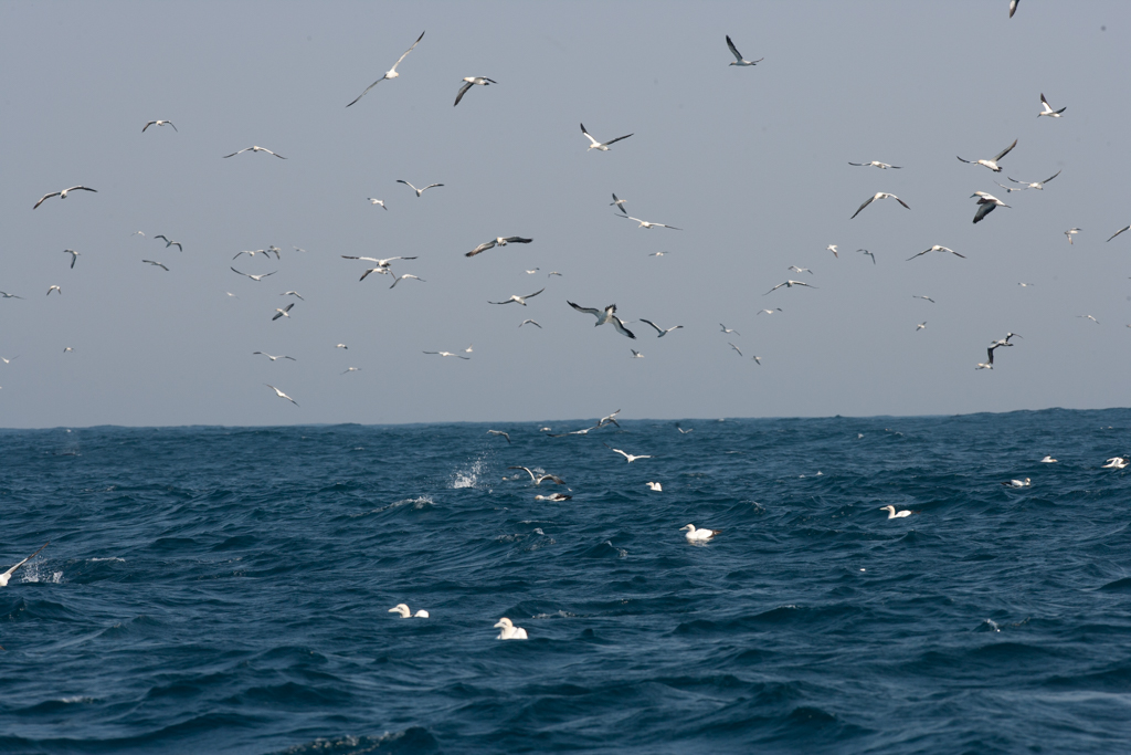 Stacks Image 897