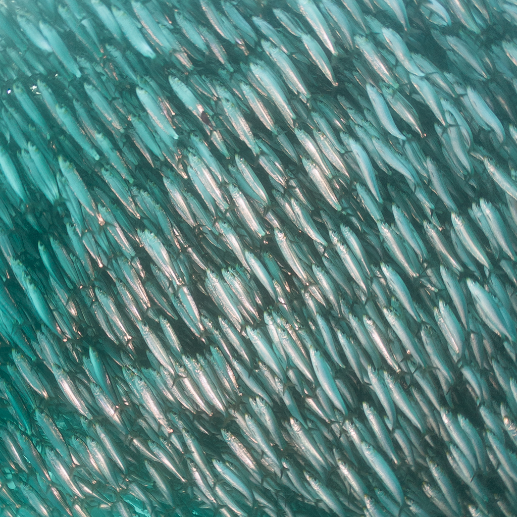 Stacks Image 740