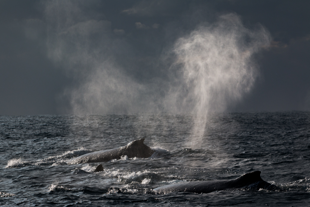Stacks Image 823