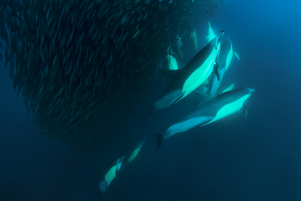 Stacks Image 850