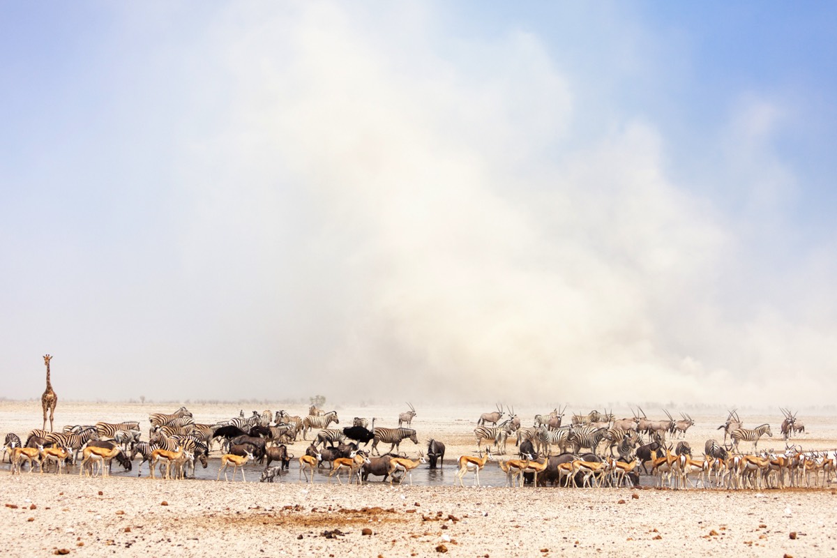Stacks Image 1147