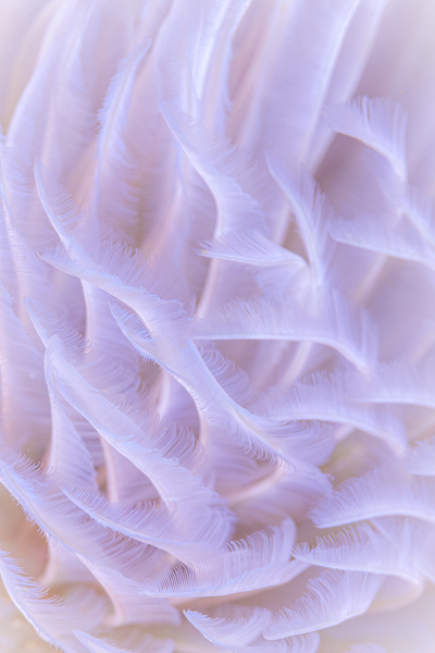 Stacks Image 1099
