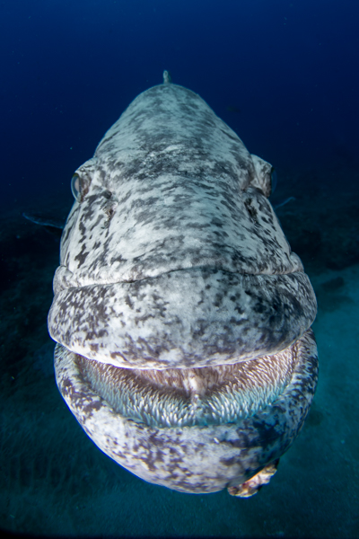 Stacks Image 1099