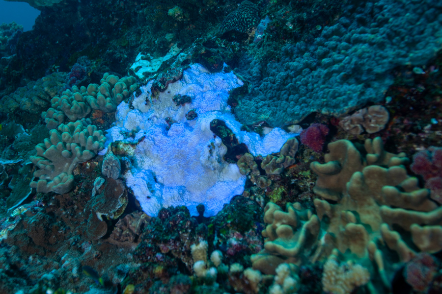 Stacks Image 1808