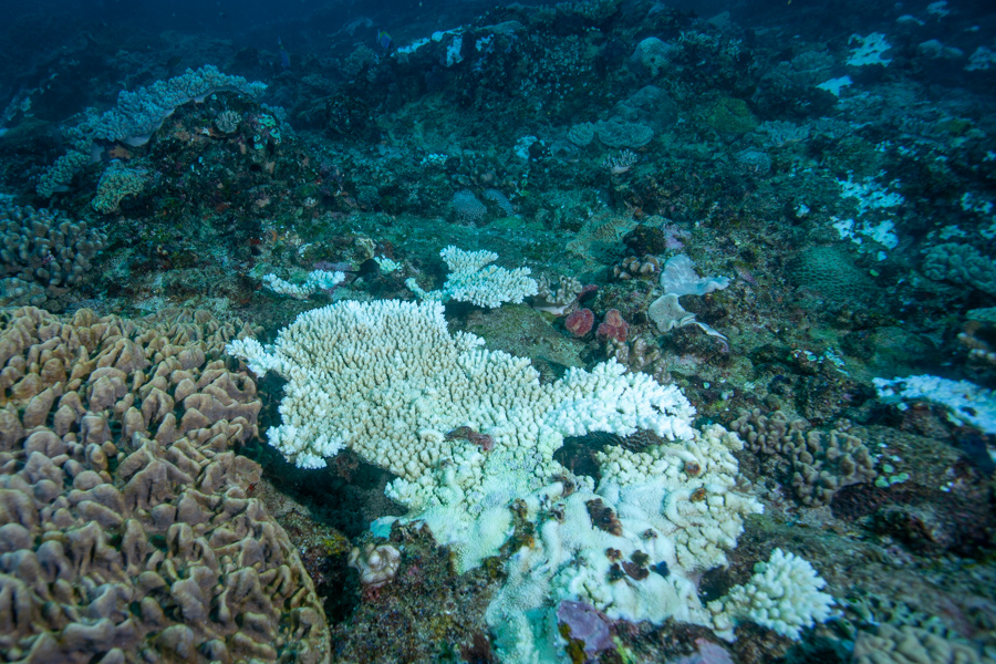 Stacks Image 1305
