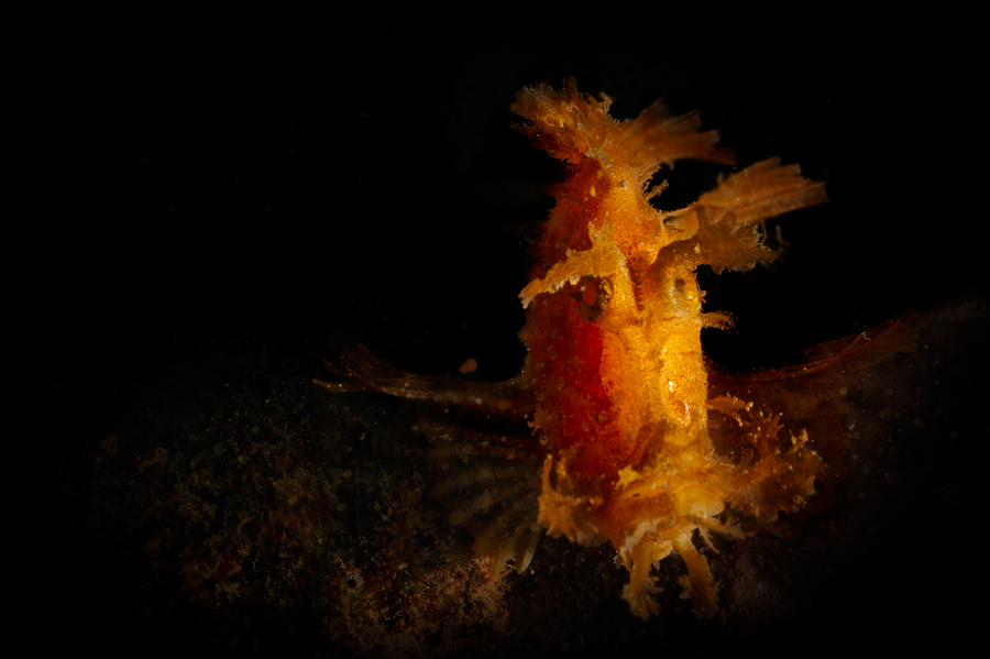 Stacks Image 1644