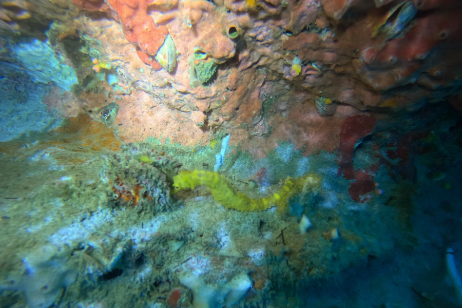 Stacks Image 1178