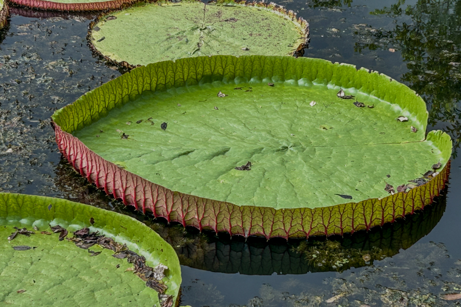 Stacks Image 1201