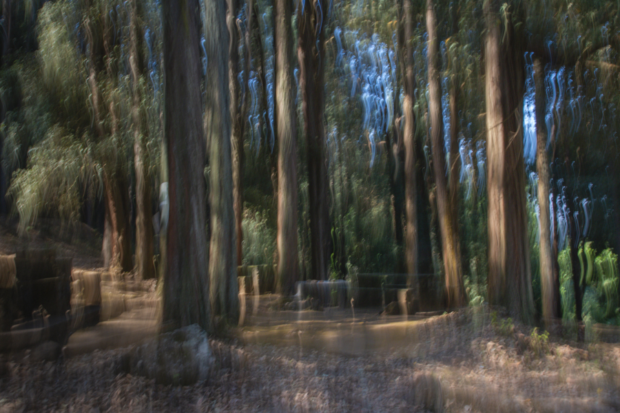 Stacks Image 1462