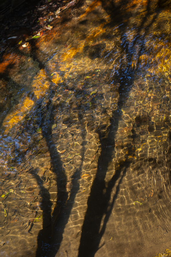 Stacks Image 1426