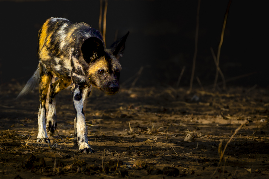 Stacks Image 2136