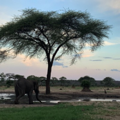 Sinyati Waterhole