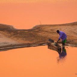 Zambezi Fisherman