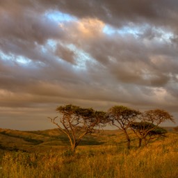 Zululand 