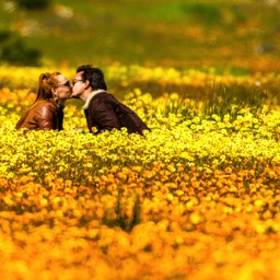 Lovers In The Flowers