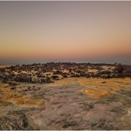 The Island